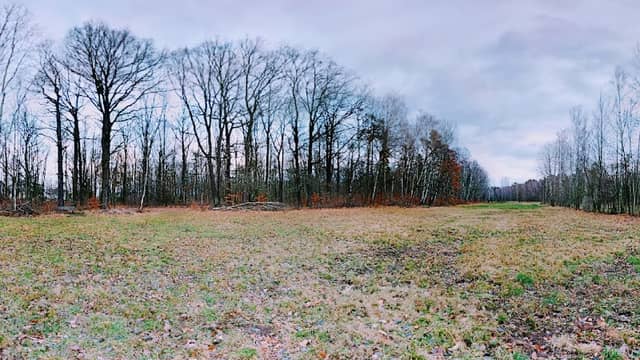 Kurwiese Klotzsche - Image 2