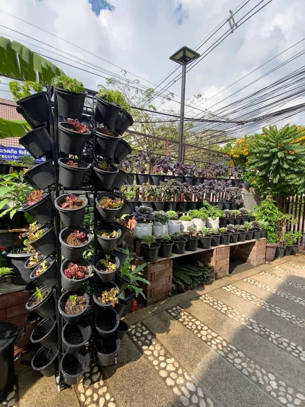 ข้างบ้านปลอดสาร - Image 1