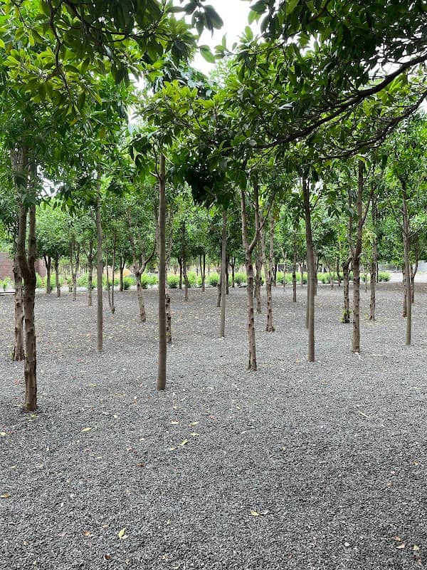 Vrundavan Vadi - Image 2