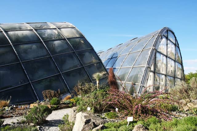 Karl-Franzens-Universität Botanical Garden - Image 2