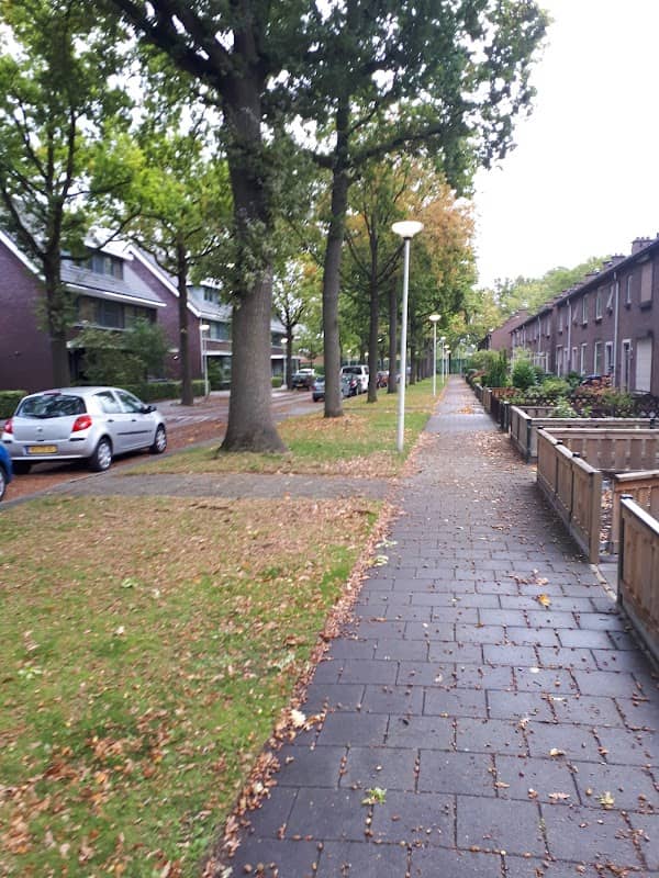 Het Zwanehofke - Image 2
