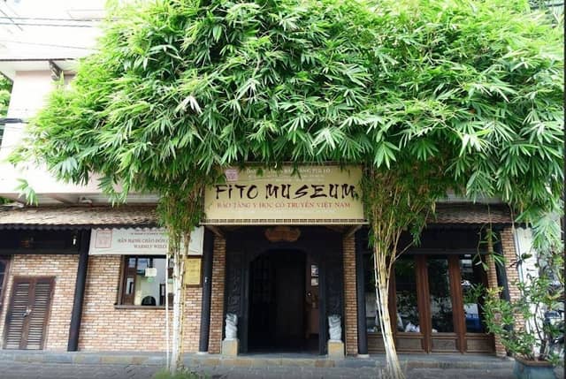 Museum of Traditional Vietnamese Medicine - Image 2