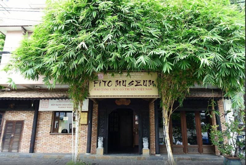 Museum of Traditional Vietnamese Medicine - Image 2
