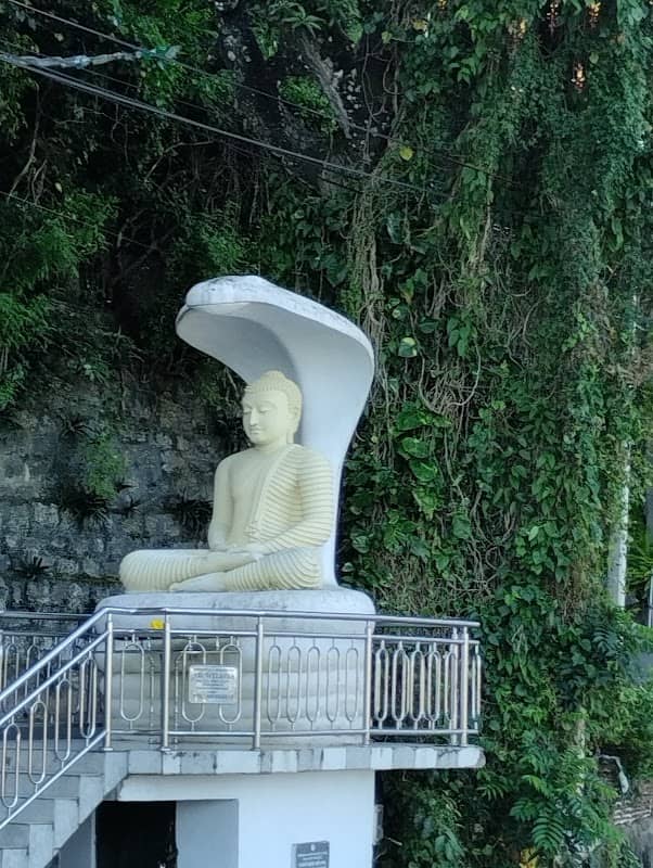 Kandy Viewpoint - Image 3