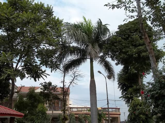 Apna Park - Image 2