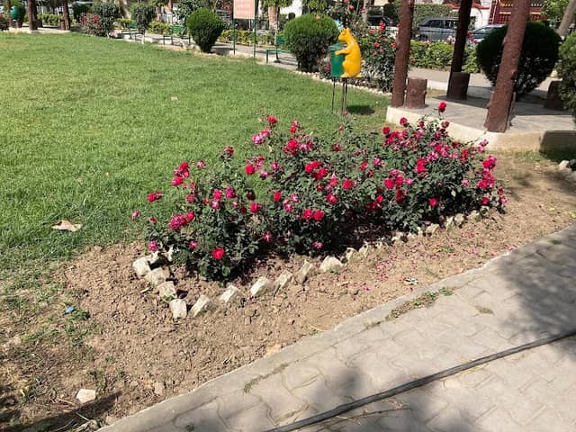 Apna Park - Image 1