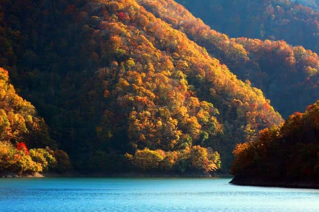 Lake Kuzuryu - Image 2