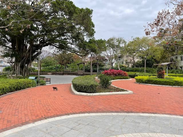 Wing Hing Wai Sitting-out Area - Image 2