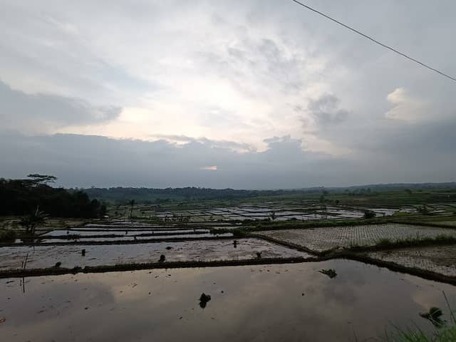 Ubud view - Image 1