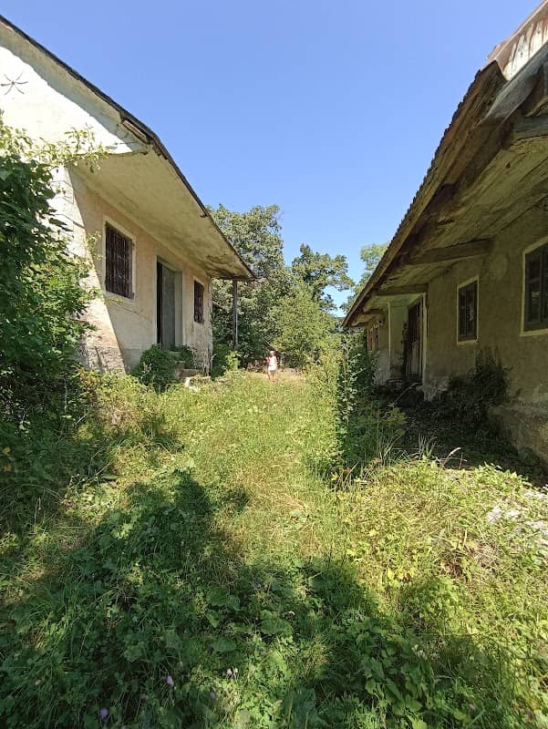 Zeleni Vir - Image 3