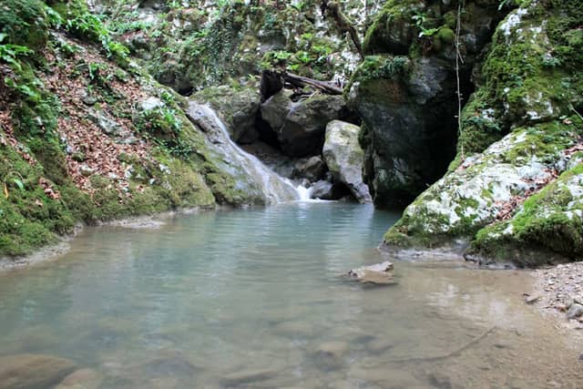 Zeleni Vir - Image 1