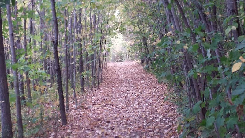 Big Cedar Lake Hiking Trails - Image 2