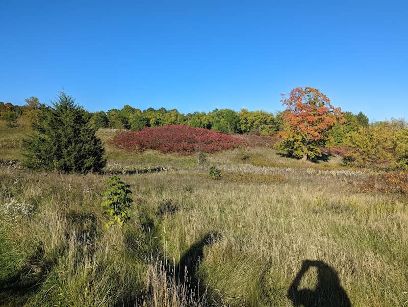 Big Cedar Lake Hiking Trails - Image 1
