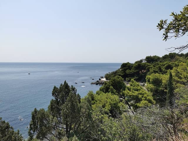 Forosskyy park - Image 1