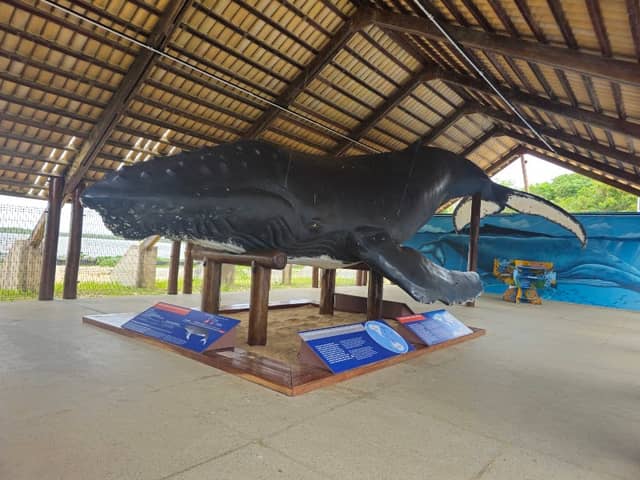 Espaço Baleia Jubarte Caravelas - Image 1