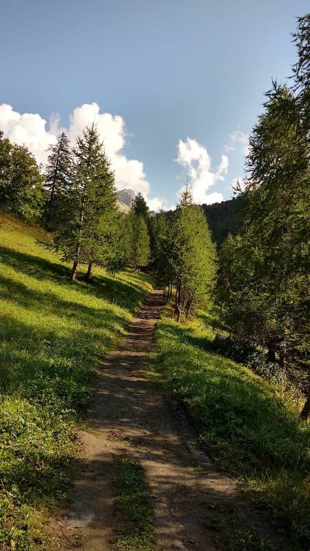 Alevè mets - Image 1