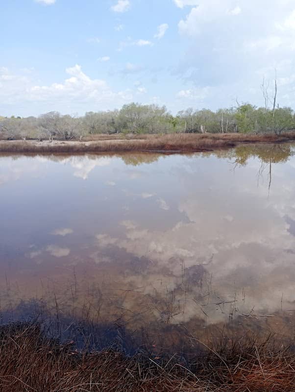 Daniels creek - Image 1
