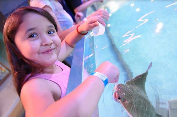 Layton Aquarium & Wildlife - Image 1