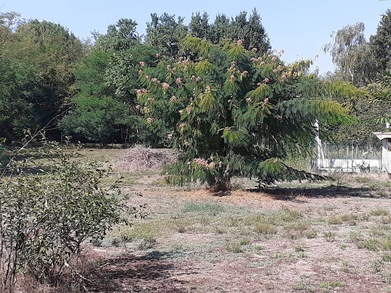 Yoruichi Park - Image 1