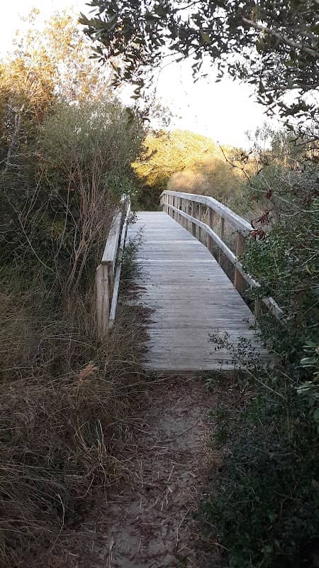 Ocean Isle Beach Nature Trail - Image 1