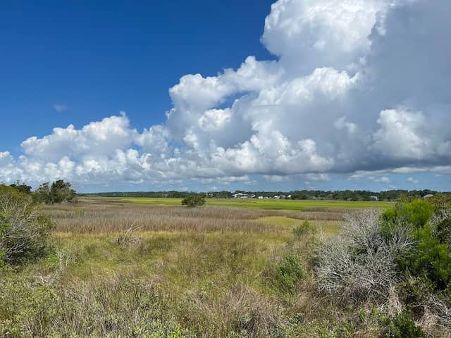 Ocean Isle Beach Nature Trail - Image 1