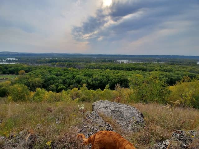 Dewey Heights Prairie State Natural Area - Image 2