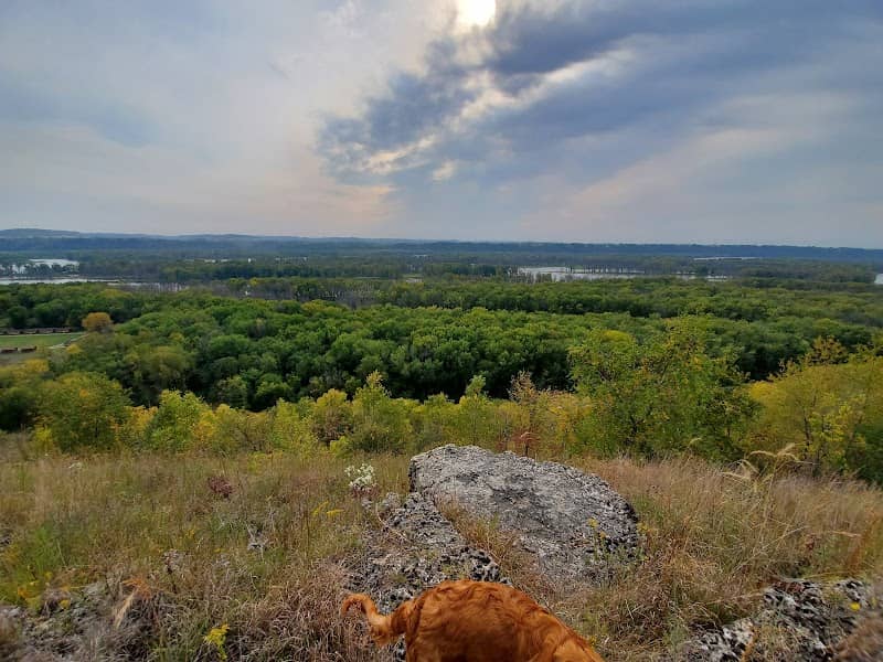 Dewey Heights Prairie State Natural Area - Image 2