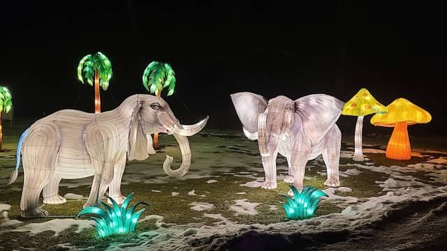 DAZZLINGLIFFE LIGHT FESTIVAL - Image 1