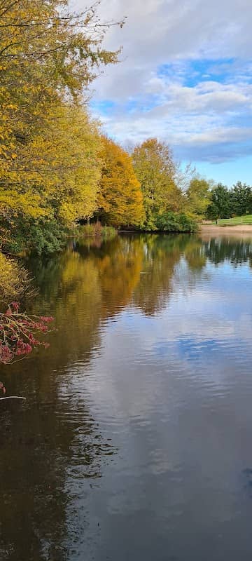 Mühlenkamp-See - Image 1