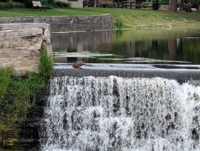 Falls Fest Plaza - Image 1