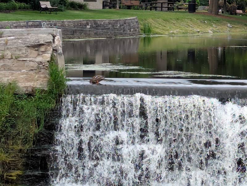 Falls Fest Plaza - Image 1