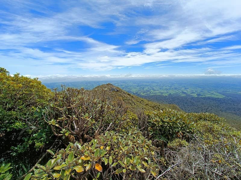 Maude track - Image 1