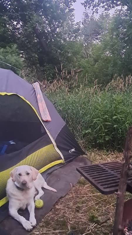 Cannon River Wilderness Campsite 2 - Image 2