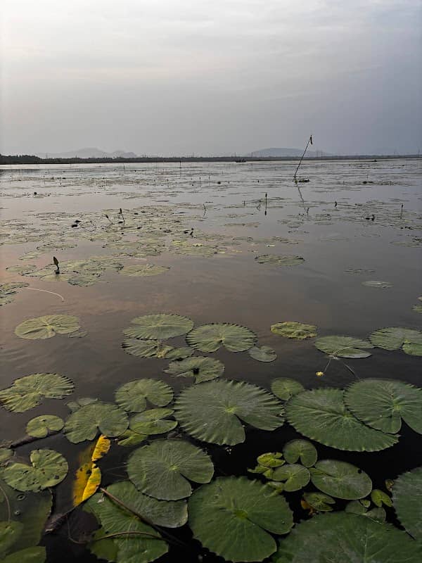Kondakarla ava - Image 3