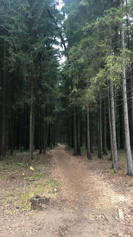 Gosudarstvennyy Lesnoy Zapovednik - Image 1