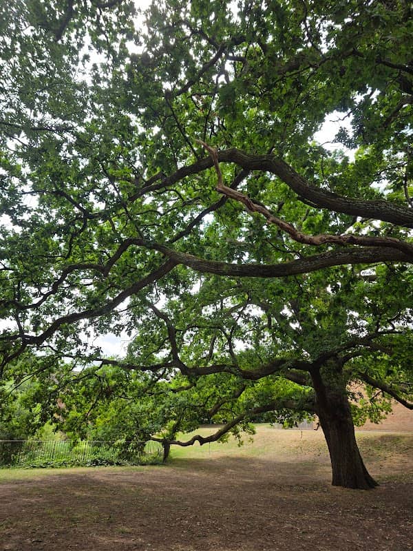 Cox's Meadow - Image 3