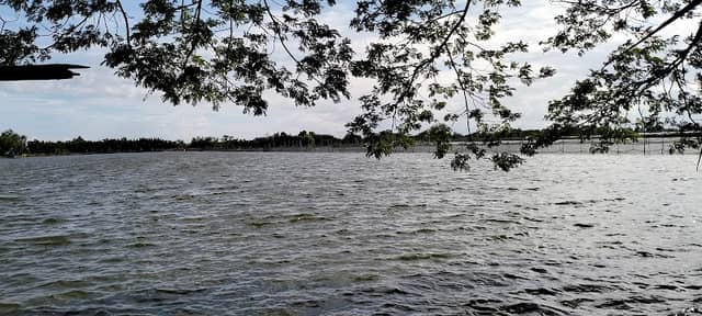 Legaspi Fishpond Marilao - Image 2