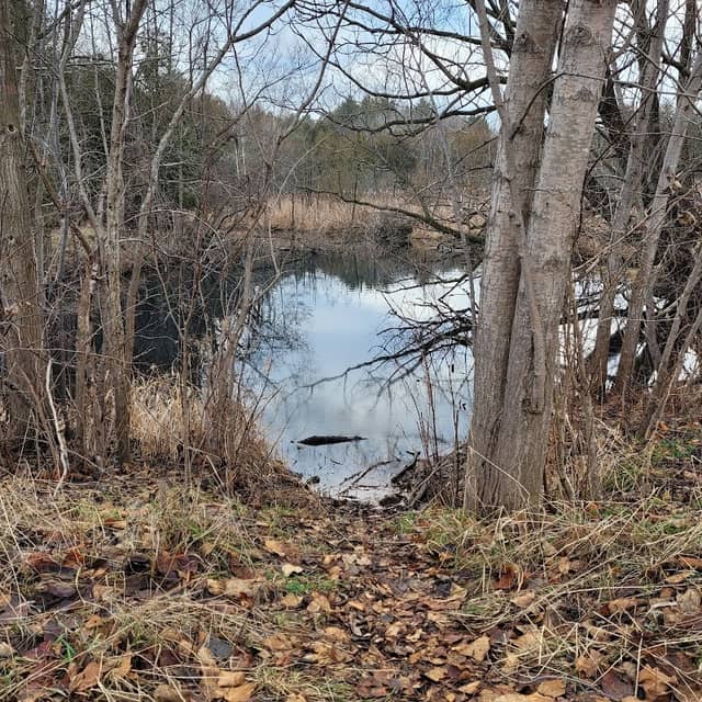 Clairfields Perimeter Trail - Image 1