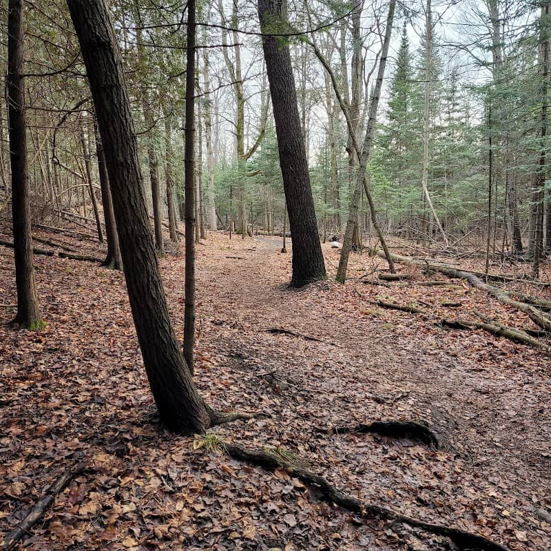 Clairfields Perimeter Trail - Image 2