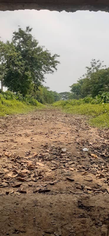 Ghanarajpur bot tala - Image 1