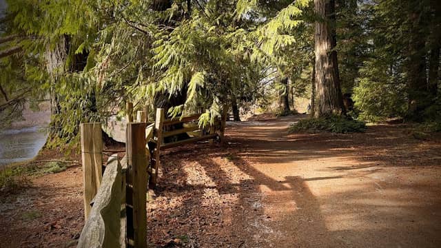 Nanaimo regional park trail - Image 2