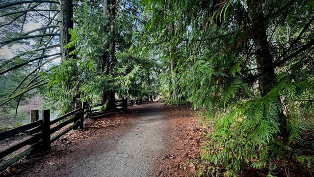 Nanaimo regional park trail - Image 1