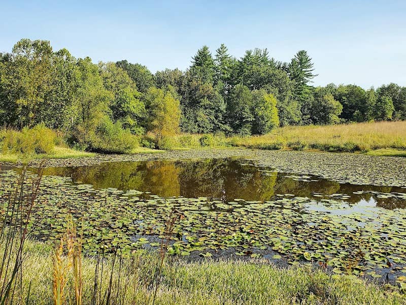 Shaw Nature Reserve - Image 1