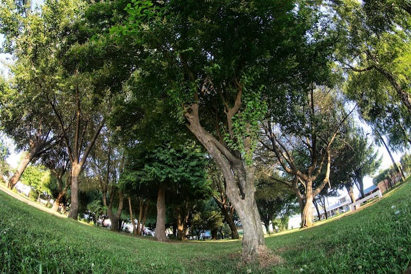 Plaza Central de la Teniente Merino - Image 2