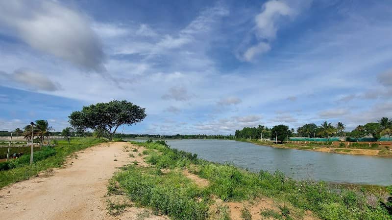 Karahalli Lake and Nandi Hill view - Image 1