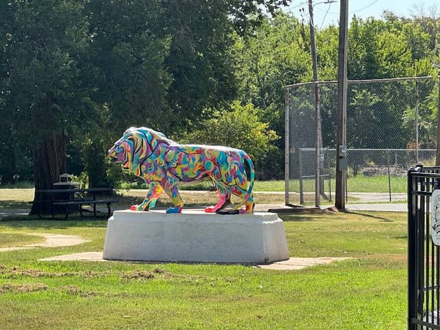 Lions Park - Image 1