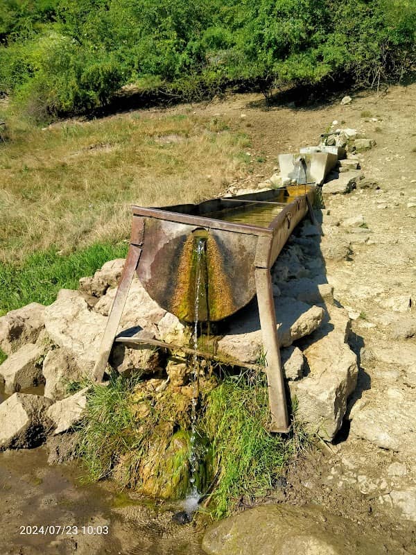 Izvorul socului - Image 1