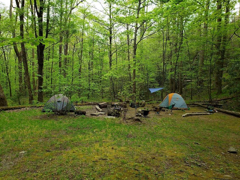 Backcountry Campsite #35 - Image 1