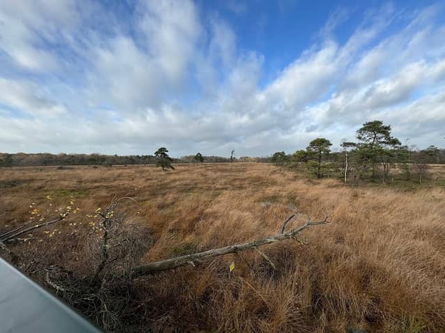 Uitkijktoren Wooldse Veen - Image 1