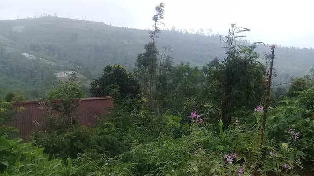Pemandangan - Image 2